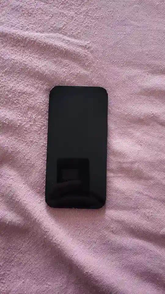 MYSTERY iPhone 13 mini with crypto wallets. READ Description please